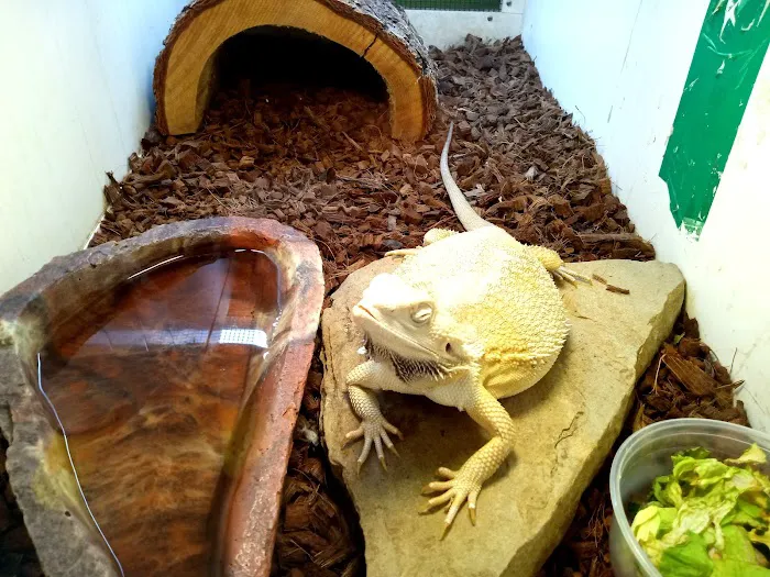 Zoo Creatures Pet Store Picture 4