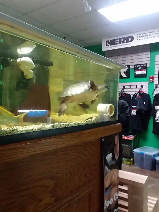 Zoo Creatures Pet Store Picture 7