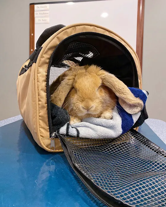 Landisville Animal Hospital Picture 2