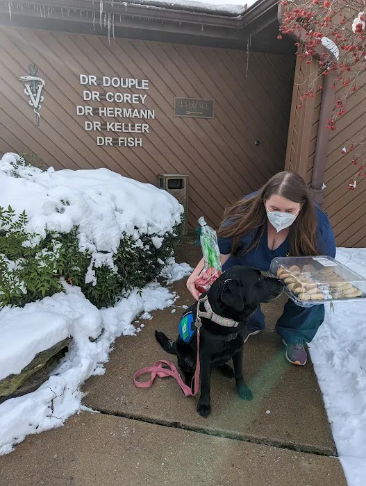 Landisville Animal Hospital Picture 6
