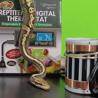 Skinz Pythons and Pigment ico