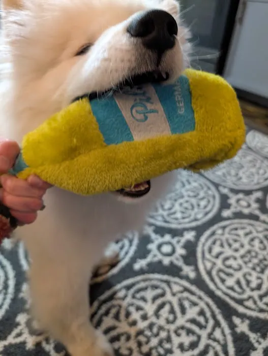 Quinn's Canine Café Picture 1