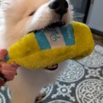 Quinn's Canine Café
