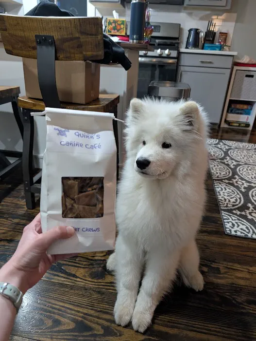 Quinn's Canine Café Picture 2