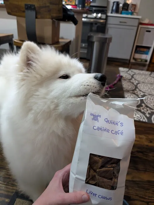 Quinn's Canine Café Picture 6