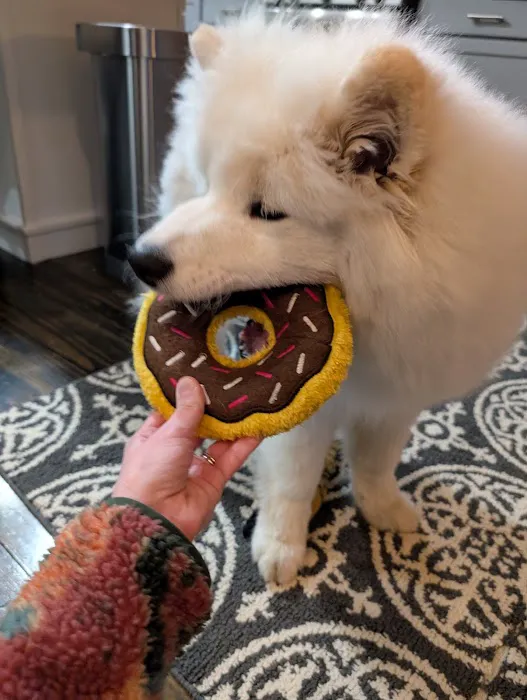 Quinn's Canine Café Picture 5