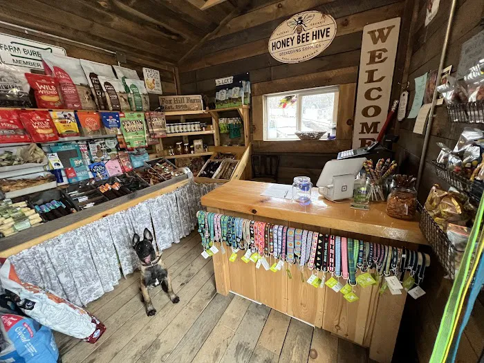 Fox Hill Farm Stand & Pet Store Picture 7