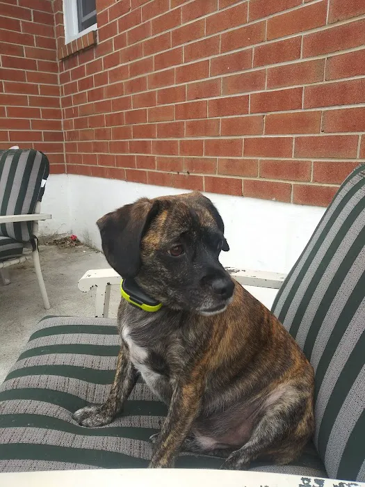 Petco Picture 1