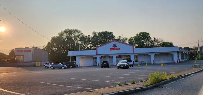 Petco Picture 4