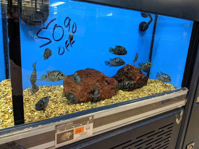 Petco Picture 5