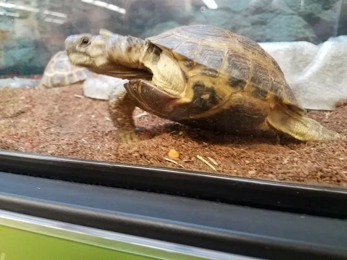 Petco Picture 6