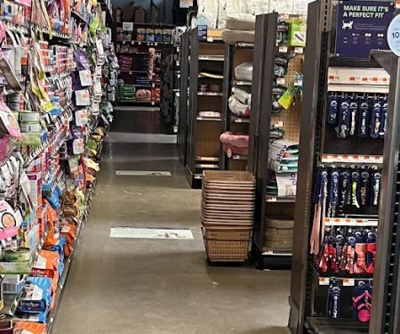 Unleashed by Petco
