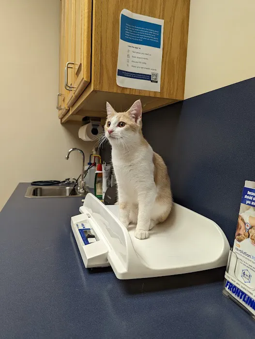 Animal Health Care of Myerstown Picture 4