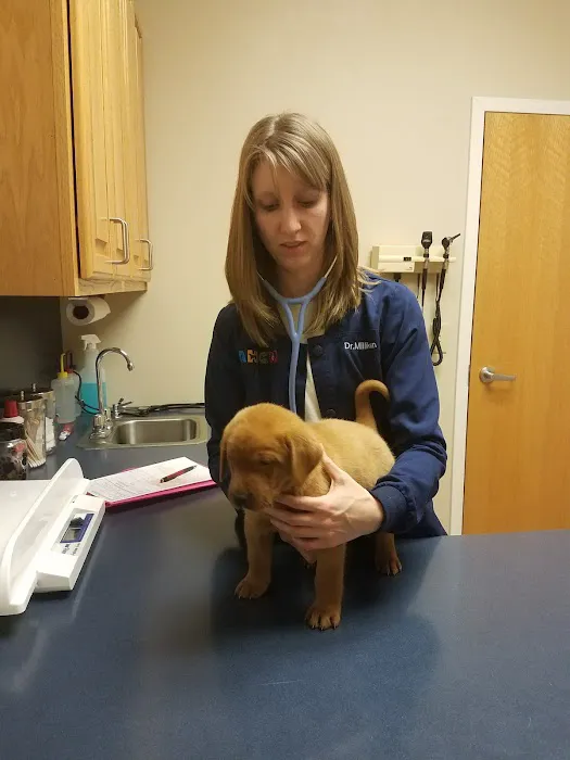 Animal Health Care of Myerstown Picture 9