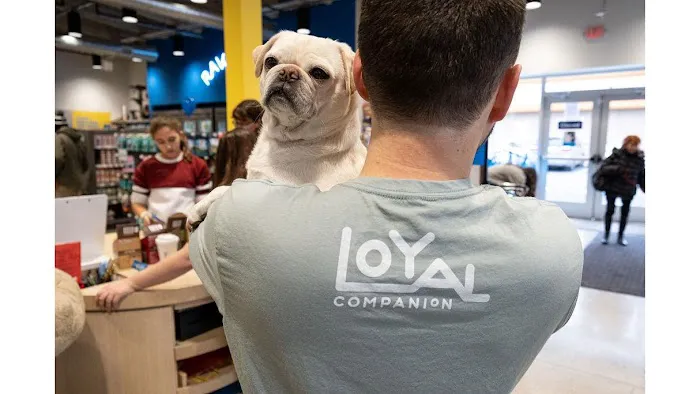Loyal Companion Picture 3
