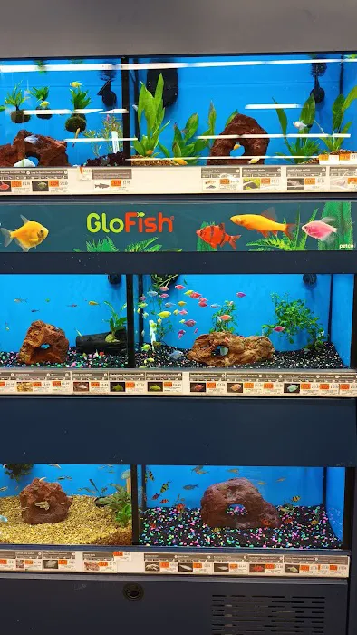 Petco Picture 2