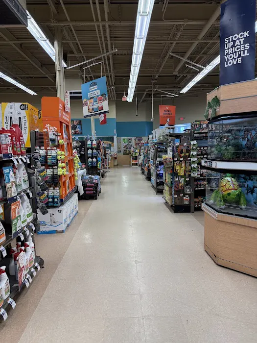 Petco Picture 1