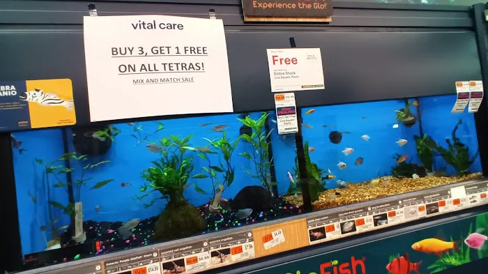 Petco Picture 5