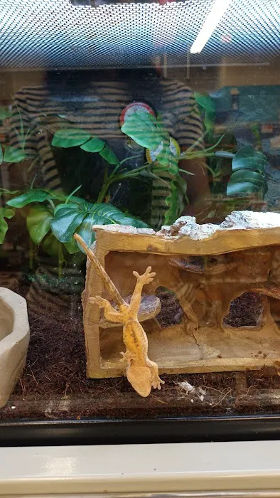 Petco Picture 6