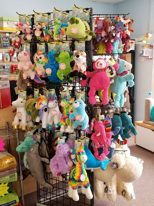 Worldly Pets Picture 2