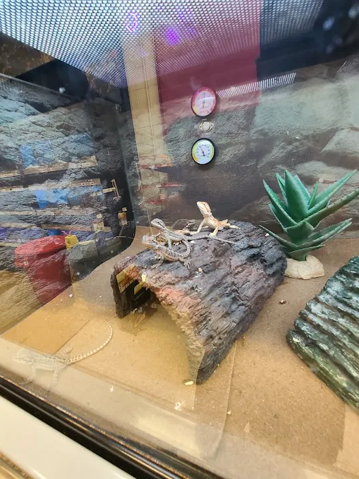 Petco Picture 3
