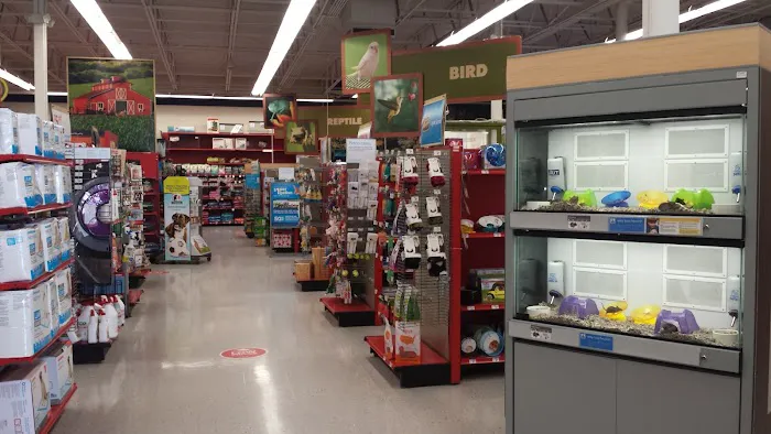 Petco Picture 2