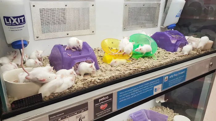 Petco Picture 6