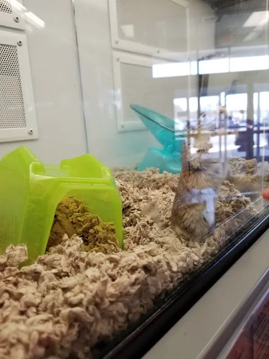 Petco Picture 9