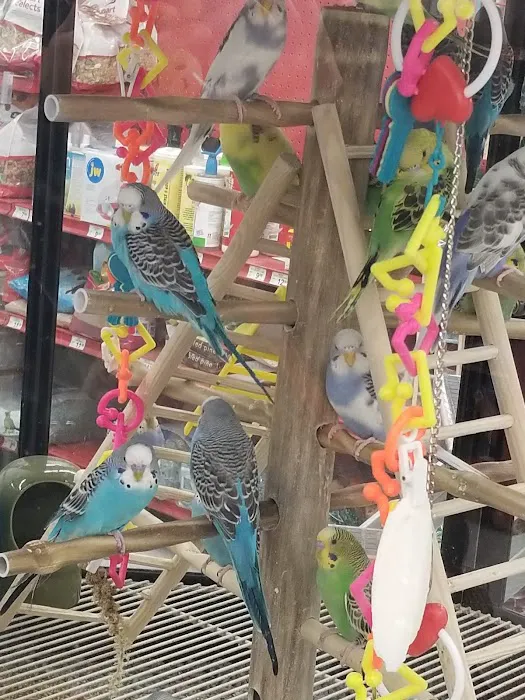 Petco Picture 8