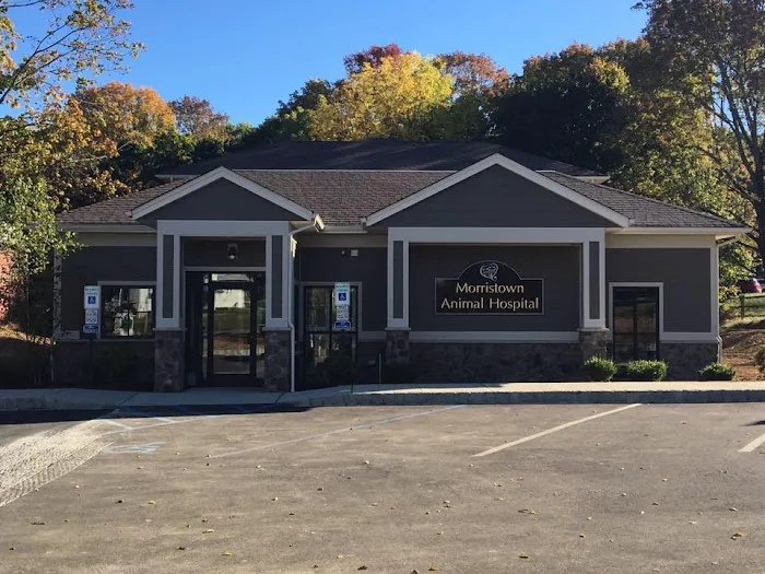 Morristown Animal Hospital Picture 1