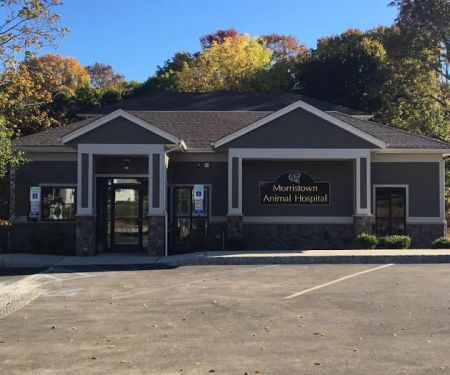 Morristown Animal Hospital