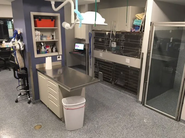 Morristown Animal Hospital Picture 9
