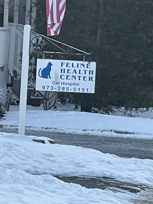 Feline Health Center Picture 2