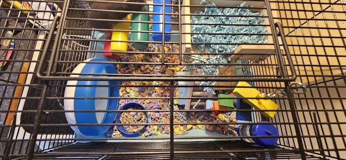 Winchester Aquarium & Pet Center Picture 3