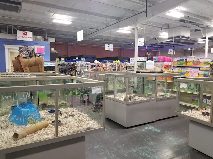 Winchester Aquarium & Pet Center Picture 4