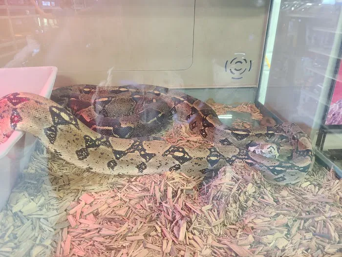 Winchester Aquarium & Pet Center Picture 8