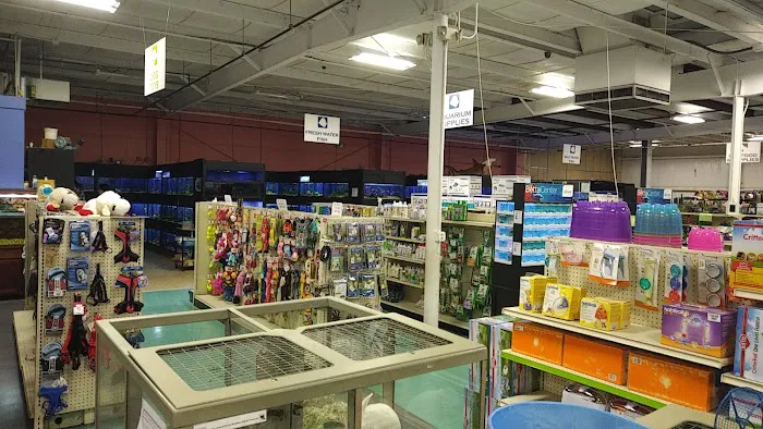 Winchester Aquarium & Pet Center Picture 7