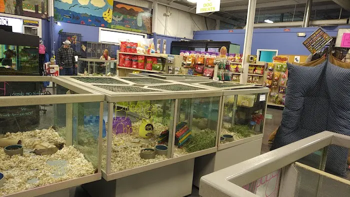 Winchester Aquarium & Pet Center Picture 9
