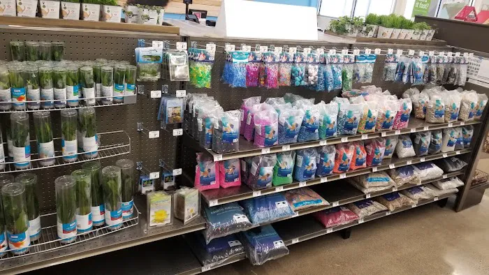 Petco Picture 5
