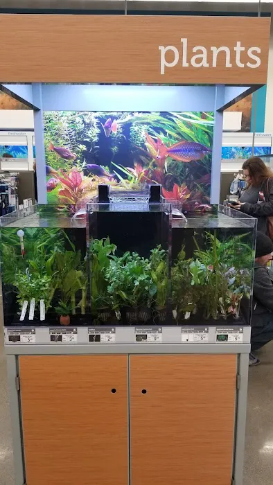 Petco Picture 4