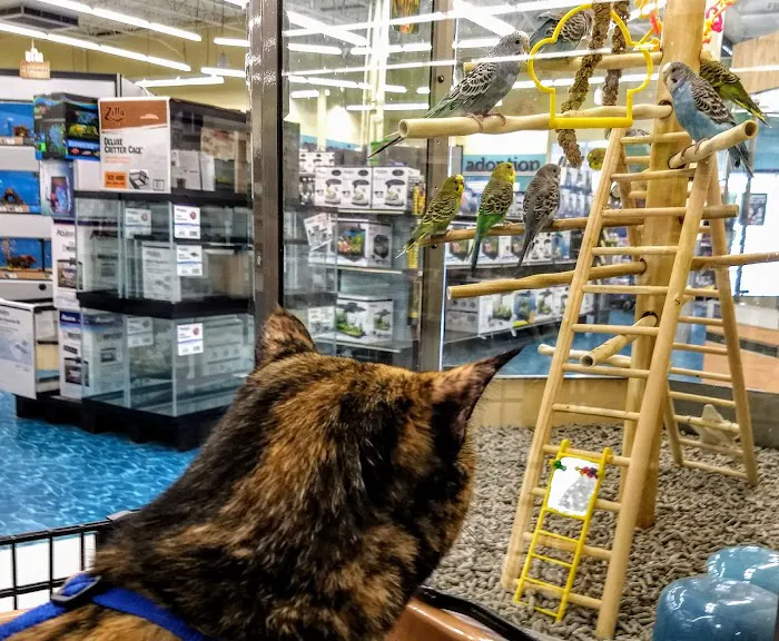 Petco Picture 7