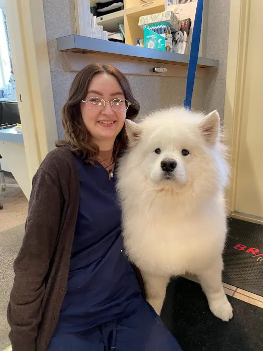 American Animal Hospital Picture 1