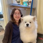 American Animal Hospital
