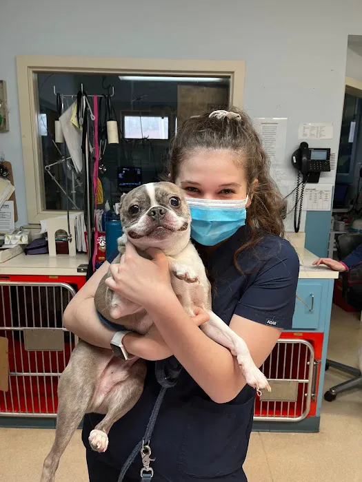 American Animal Hospital Picture 3