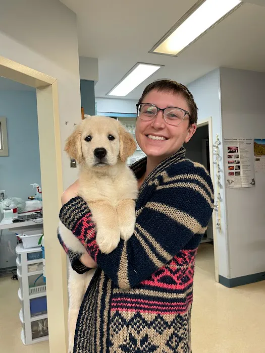 American Animal Hospital Picture 2