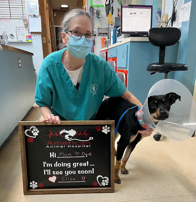 American Animal Hospital Picture 6