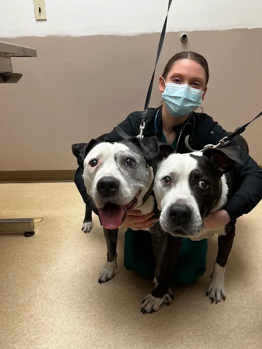 American Animal Hospital Picture 8