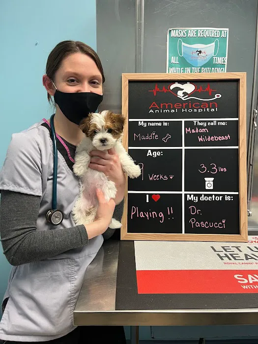 American Animal Hospital Picture 9