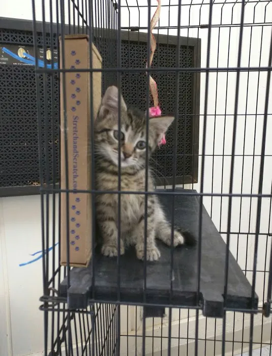 Country Lakes Animal Clinic Picture 1