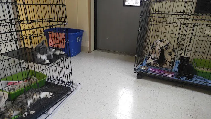 Country Lakes Animal Clinic Picture 5